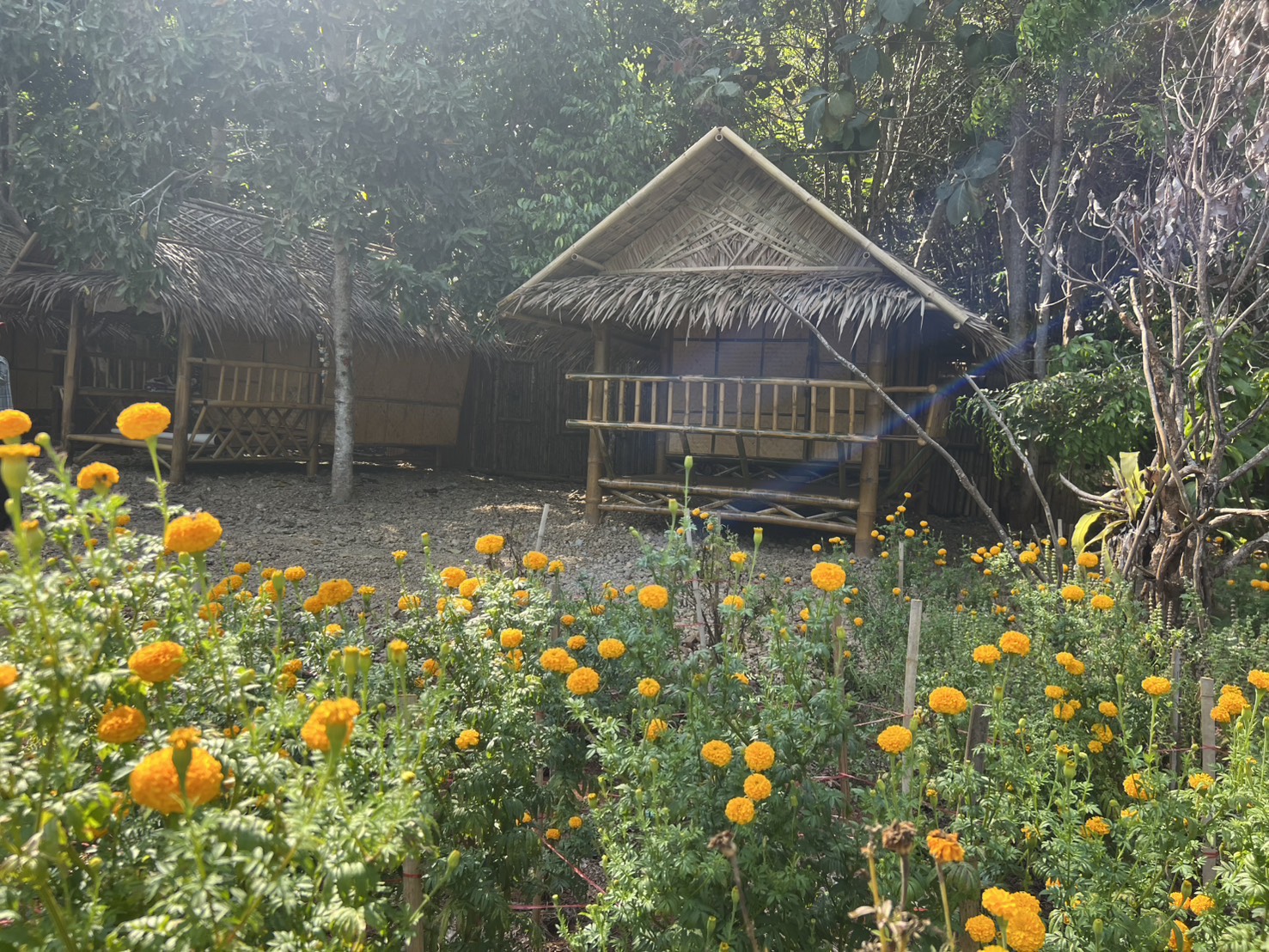 ห้องพักวิวภูเขา